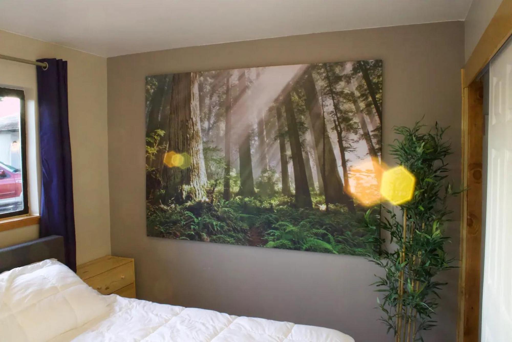 Private Home - Playground, Jumping Mat, Bbq, Darts, Firepit, Gazebo, 4 Smart Tvs, White Cotton Bedding, - The Redwood Cul-De Sac Beach Retreat Crescent City Exteriör bild