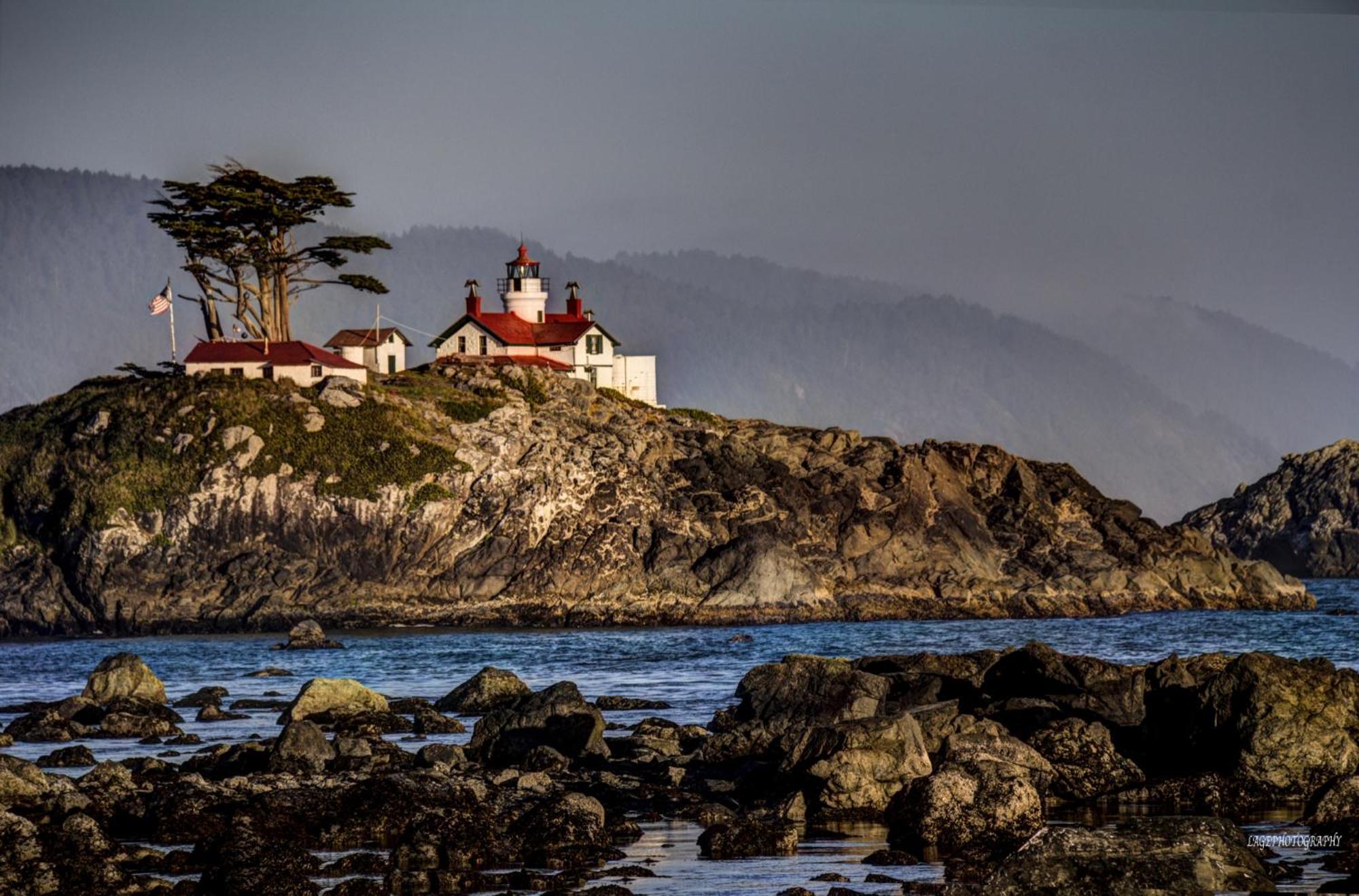Private Home - Playground, Jumping Mat, Bbq, Darts, Firepit, Gazebo, 4 Smart Tvs, White Cotton Bedding, - The Redwood Cul-De Sac Beach Retreat Crescent City Exteriör bild