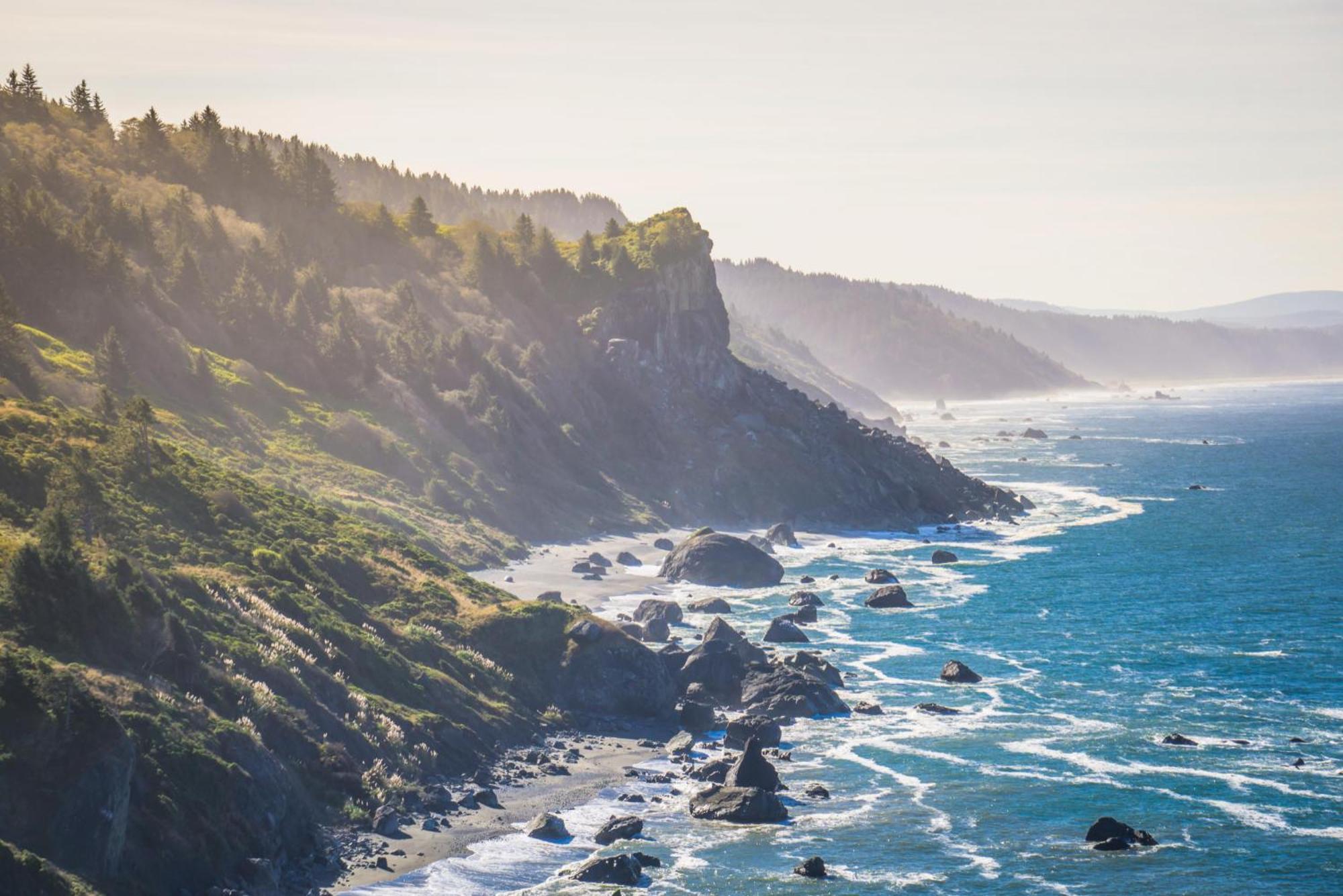 Private Home - Playground, Jumping Mat, Bbq, Darts, Firepit, Gazebo, 4 Smart Tvs, White Cotton Bedding, - The Redwood Cul-De Sac Beach Retreat Crescent City Exteriör bild